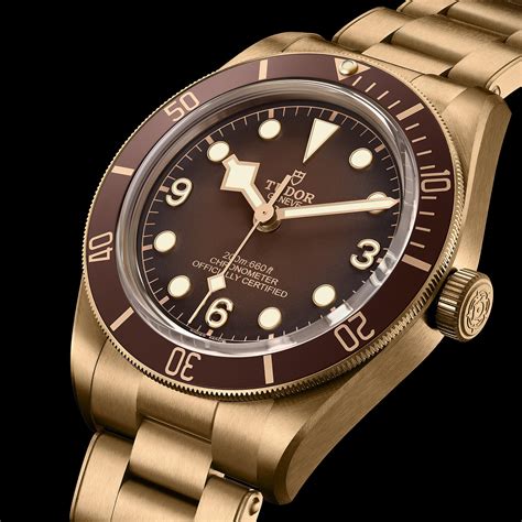 tudor bronze black bay